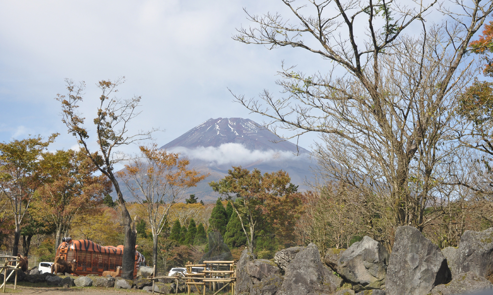 富士サファリパークから富士山が見える