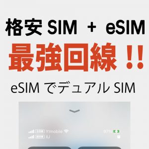格安simとeSIMで最強回線
