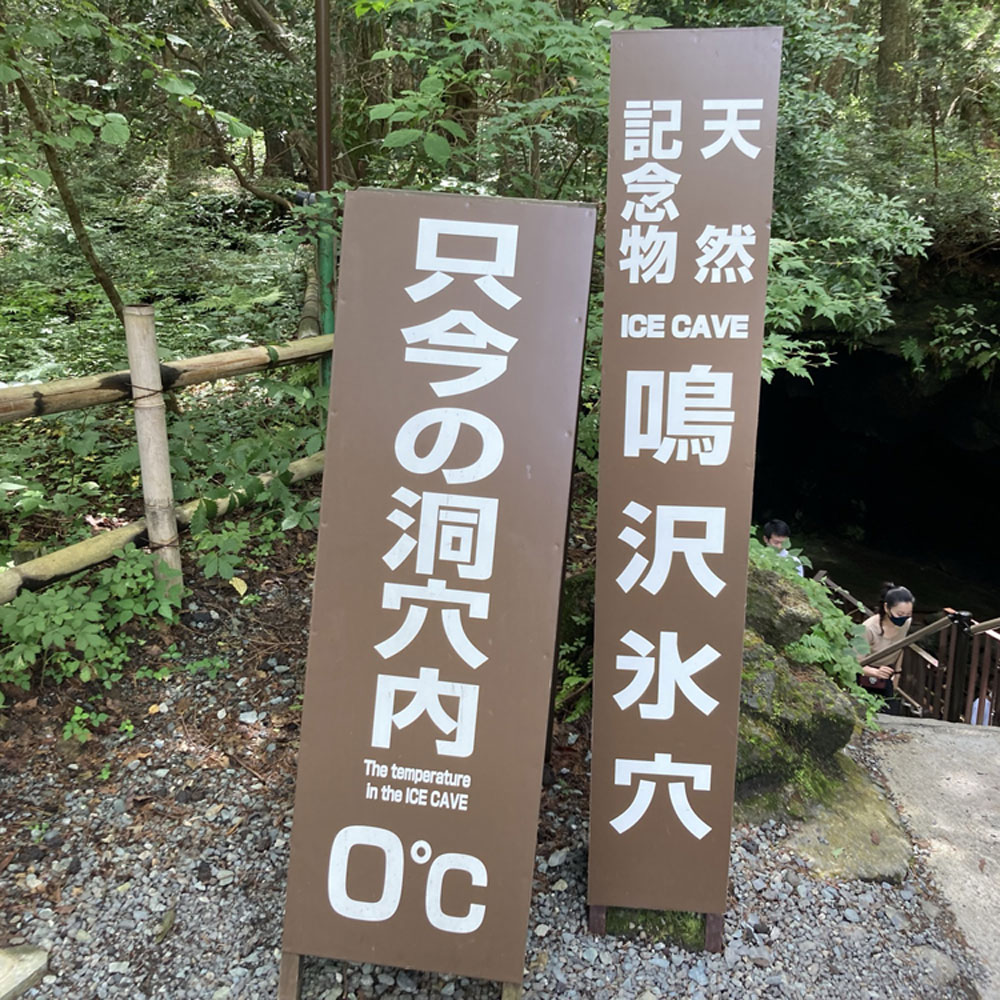青木ヶ原樹海に行ってみた 直訴