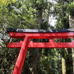 箱根神社観光ブログ
