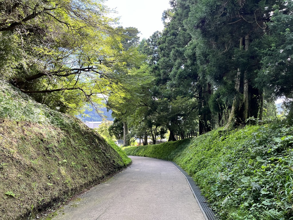 箱根関所への道