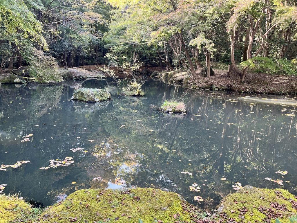 武蔵陵墓地にある池