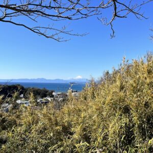 披露山公園